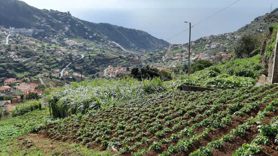 Madeira: Private Guided Levada Do Norte Walk - Transportation and Pickup/Drop-off