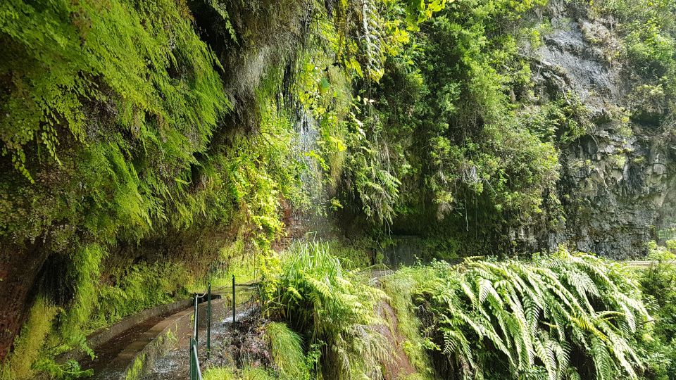 Madeira: Private Guided Levada Do Rei Walk PR18 - Inclusions and Exclusions