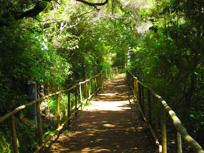 Madeira: Queimadas, Caldeirão Verde, and Levada Walk - Getting to Queimadas