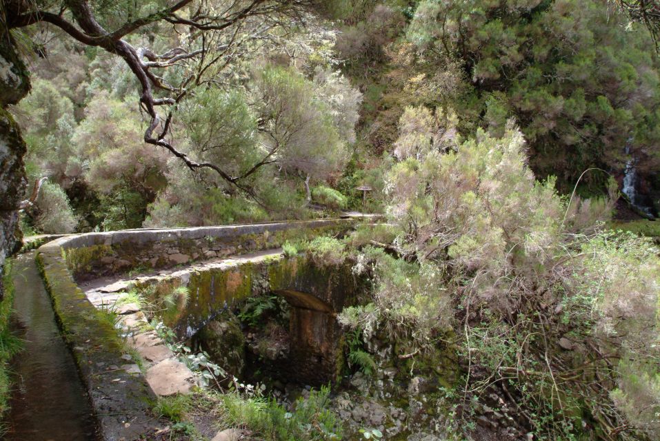 Madeira: Rabaçal Valleys 3-Hour Guided Walk - Inclusions