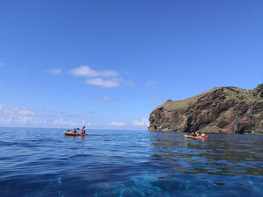 Madeiras Marine Reserve: Kayak & Snorkelling Trip - Flora and Fauna