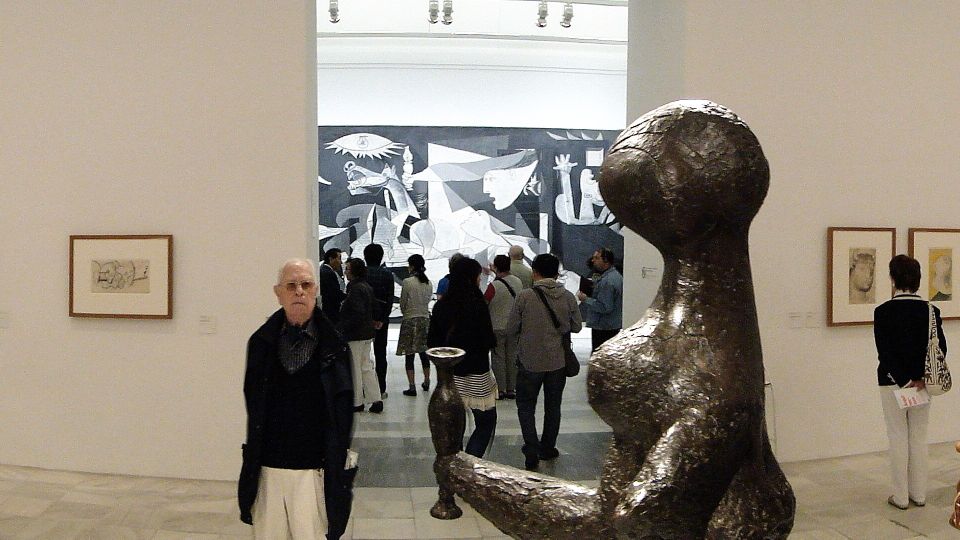 Madrid: Reina Sofia Museum Private Tour With Skip-The-Line - Pickup and Accessibility