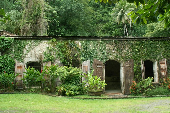 Magical Soufriere: A Tour of St Lucia - Admiring Diamond Falls Botanical Gardens