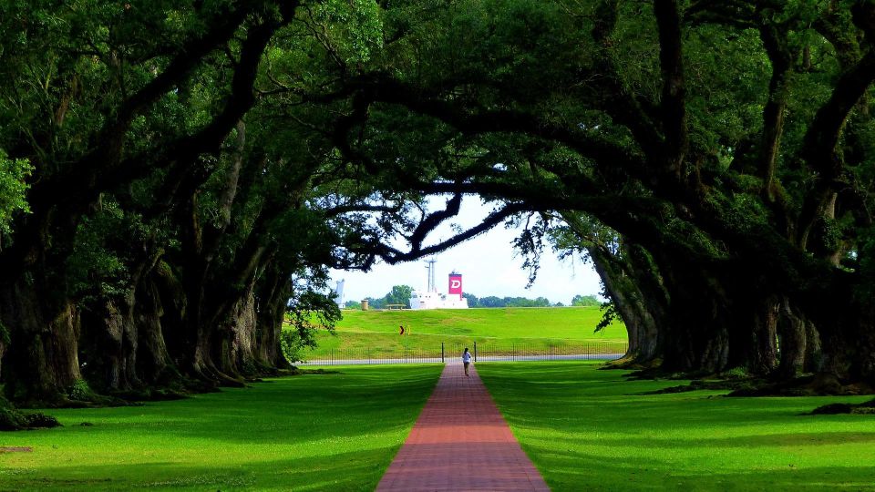 Majestic Oak Alley Plantation Tour - Slavery Exhibit