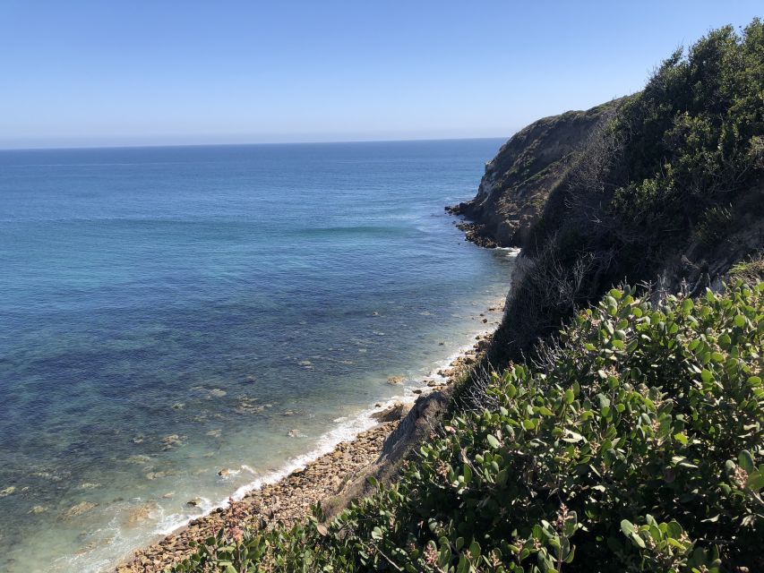 Malibu Beach: Surf Tour in a Vintage VW Van - Capturing Memorable Photographs