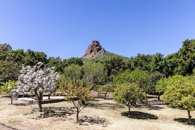 Malibu: Guided Vineyard Hike With Photo Stops and Wine - Hiking Difficulty