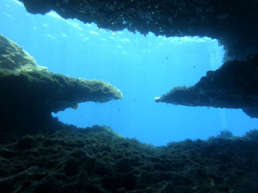 Malta: St. Pauls Bay 1 Day Scuba Diving Course - Certification and Depth Limit