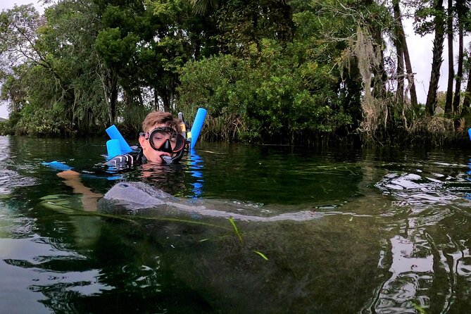 Manatee Adventure, Airboat, Lunch, Wildlife Park With Transport - Inclusions