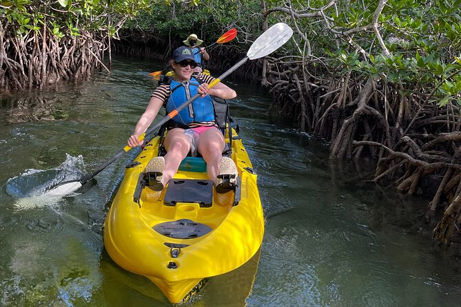 Mangrove Tunnel Kayak Adventure in Key Largo - Discovering Local Wildlife