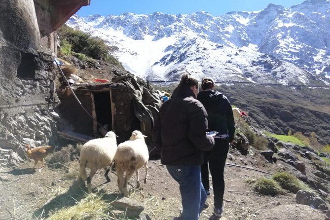 Marrakech Atlas Mountains, Waterfall Berber Villages & Camel Ride - Transportation and Lunch