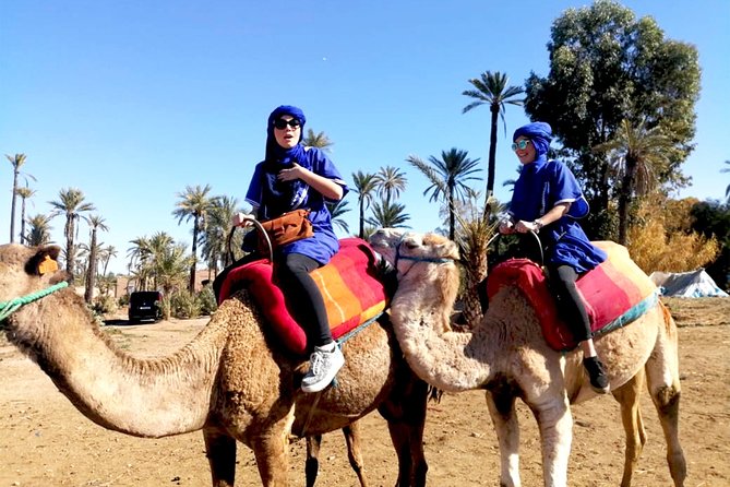 Marrakech Camel Ride & Quad Bike Experience in the Oasis Palmeraie - Additional Tour Information