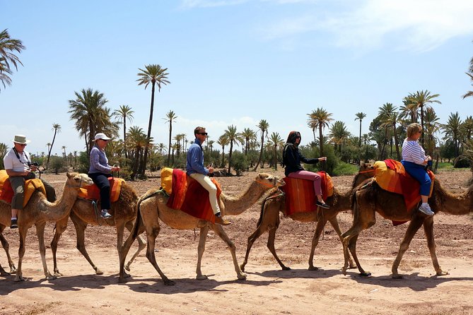 Marrakech Camel Ride Tour - Confirmation and Contact