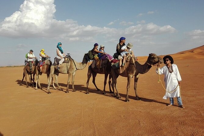 Marrakech Desert Tour to Fes - Activities and Excursions