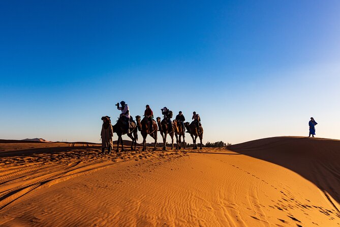 Marrakech to Merzouga Sahara Desert Tour-3 Days 2 Nights Adventur - Cancellation Policy