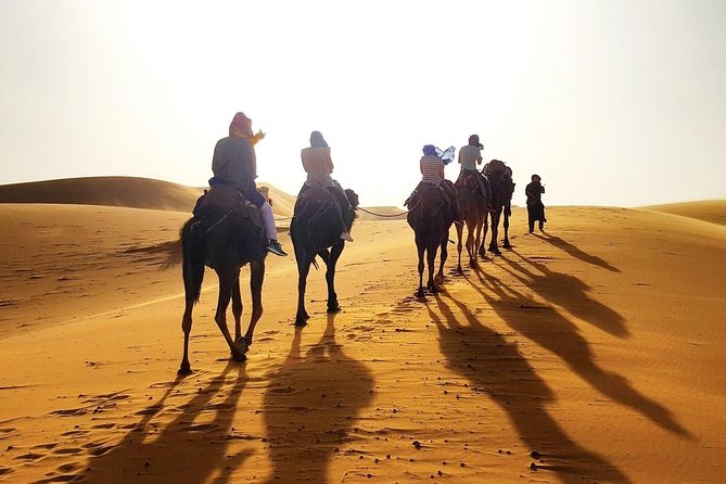 Marrakesh Desert Tour 3 Days - Transportation and Logistics