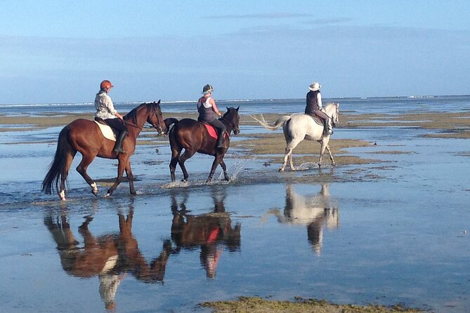 Mauritius Horse Riding at Riambel - Weather and Timing Considerations