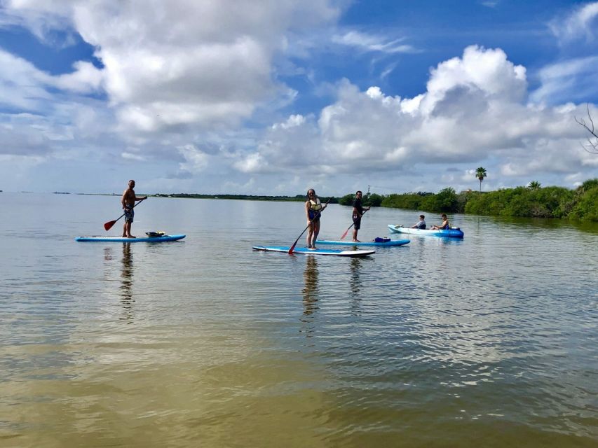 Merritt Island: Guided Kayak or SUP Tour Along Banana River - Suitability and Accessibility