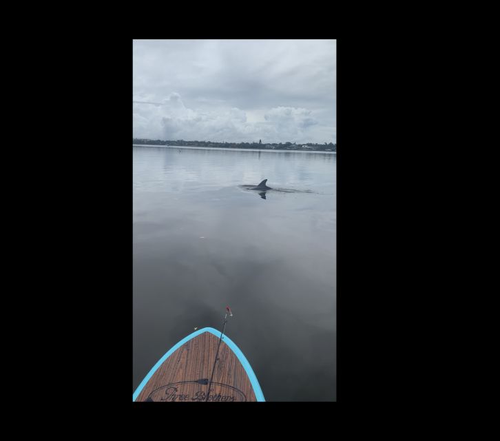 Merritt Island: Manatee Watching Paddle or Kayak Tour - Unique Manatee Opportunity