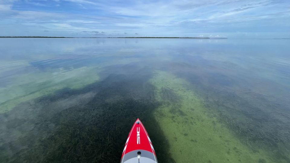 Miami: Everglades National Park Hiking and Kayaking Day Trip - Flexible Cancellation Policy