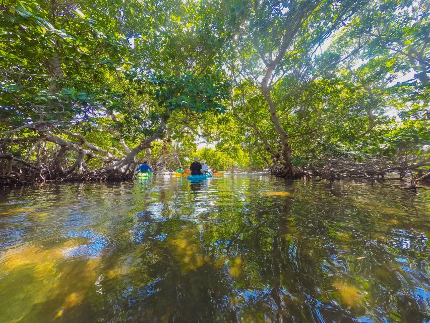 Miami: Key West Tour With Snorkeling & Kayaking - What to Expect