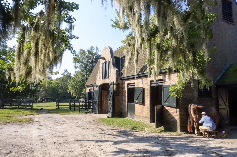 Middleton Place Plantation Tour - Mobility and Accessibility