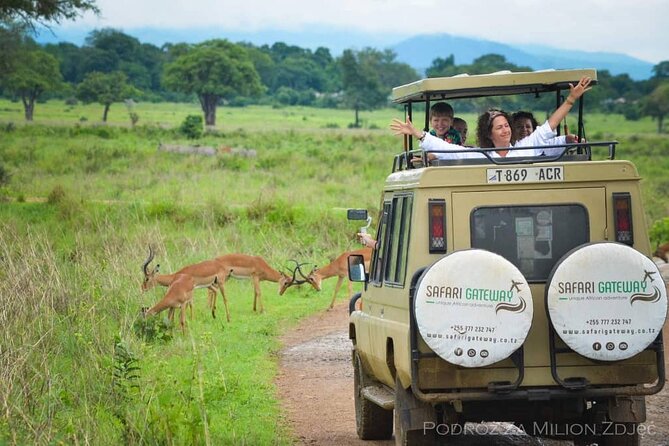 Mikumi Safari Tour: Day Trip Return Flight From Zanzibar - Cancellation and Refund Policy