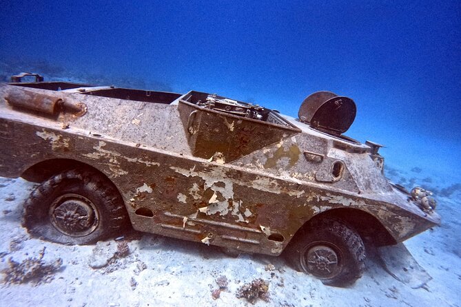 Military Museum Diving Experience in the Red Sea - Reviews and Ratings