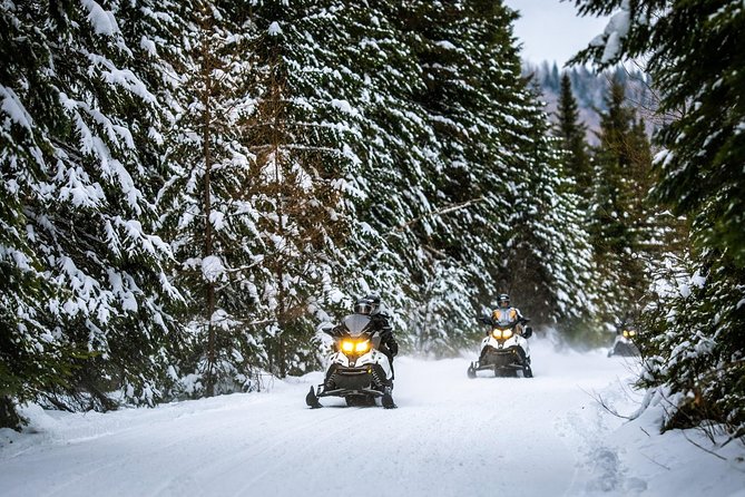 Mont-Tremblant Guided Snowmobile Tours - Equipment and Trail Access