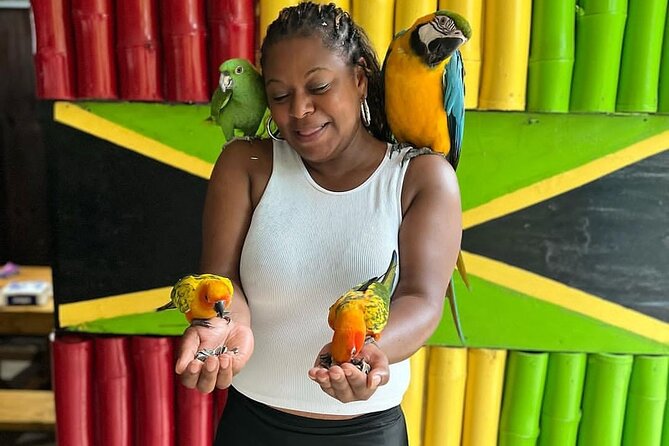 Montego Bay Exotic Herbs, Birds and Animals Interaction Tour - Tour Activities and Attractions