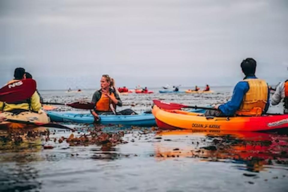 Monterey: Cannery Row Kayak Tour - Frequently Asked Questions