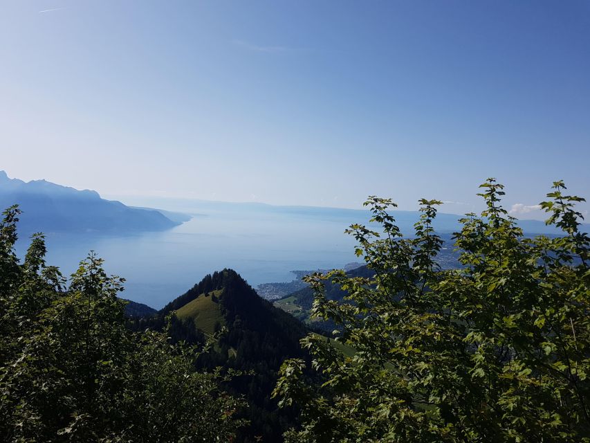 Montreux to Rochers-de-Naye: Alpine Adventure Ticket - Marmot Observation