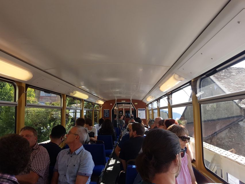 Montreux to Rochers-de-Naye: Alpine Adventure Ticket - Panoramic Mountain Vistas