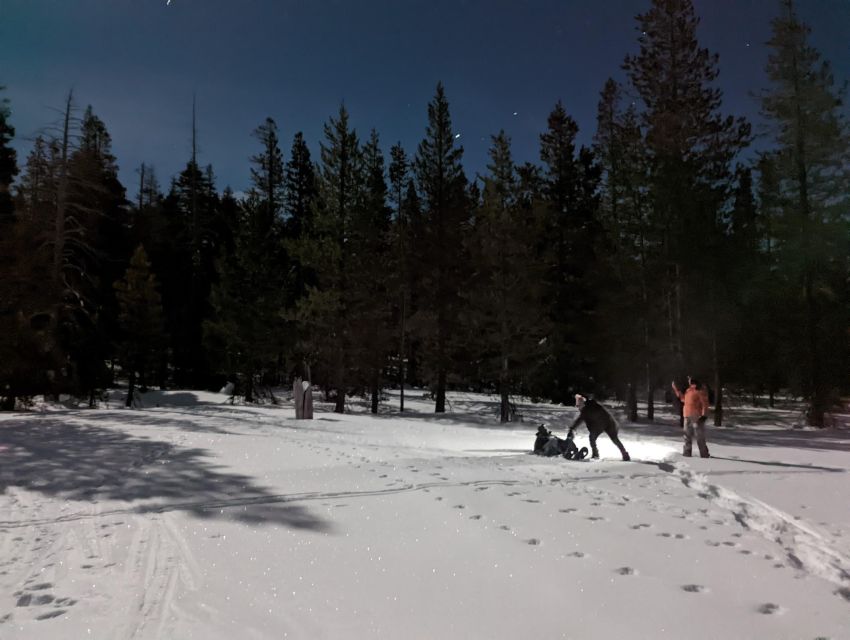 Moonlight Snowshoe Tour Under a Starry Sky - Frequently Asked Questions