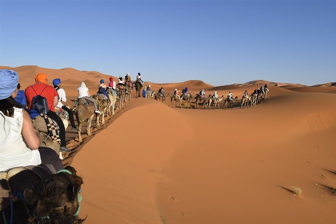 Morocco 9 Days Tour From Marrakech - Excluded Expenses