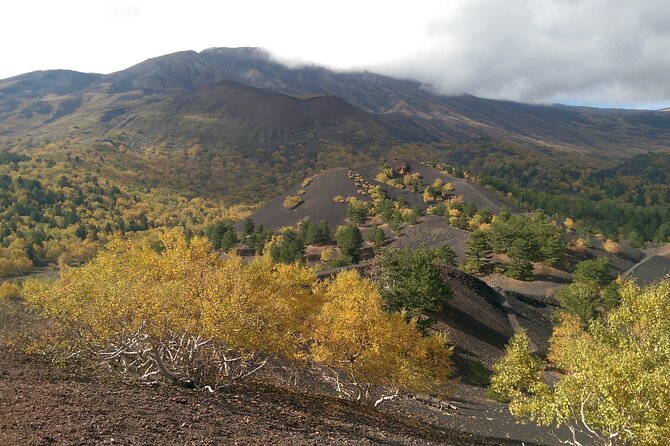 Mount Etna and Alcantara - Alcantara Gorges Basalt Columns