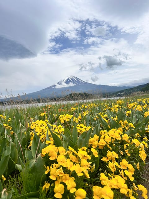 Mount Fuji One Day Private Tour by Car With English Driver - Free Cancellation and Reservation