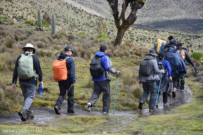 Mount Kenya Chogoria-Sirimon Route(5 Days) - Gear and Equipment Provided