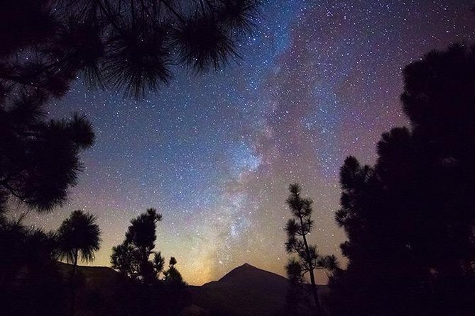 Mount Teide Night Tour: Stargazing, Dinner and Hotel Pick up - Dietary Accommodations