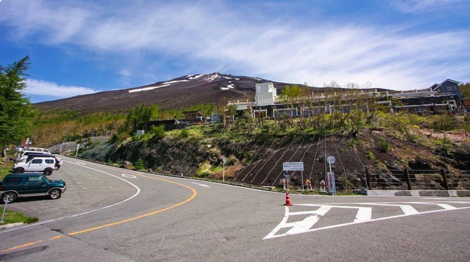 Mt Fuji & Hakone: Sightseeing Private Day Tour With Guide - Customer Reviews