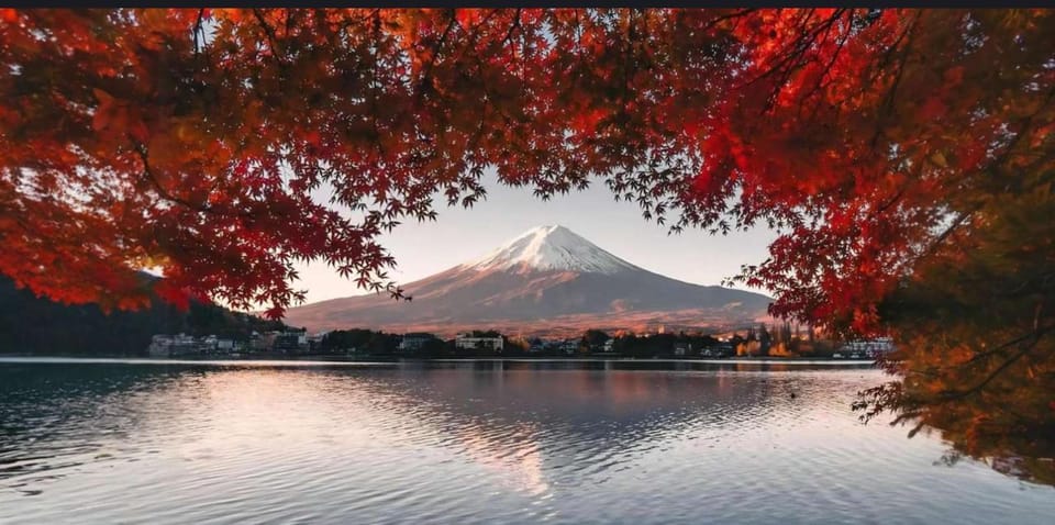 Mt Fuji, Oshino Hakai, Lake Kawaguchi, Lake Ashi 1 Day Tour - Pickup Locations and Drop-off