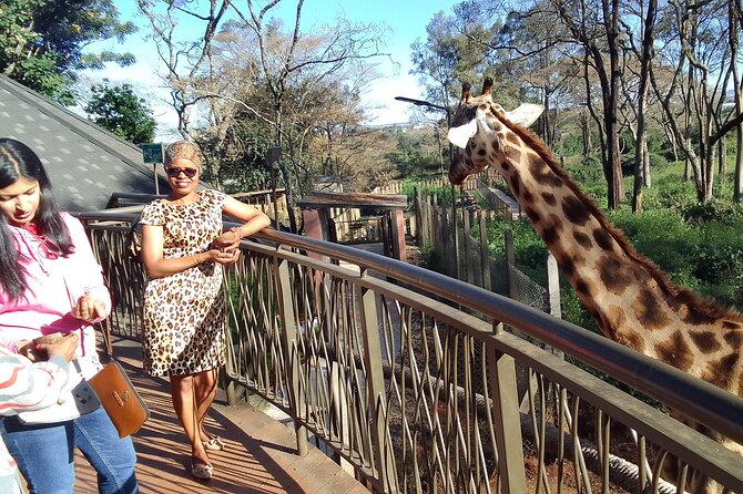 Nairobi National Park, Baby Elephant Orphanage and Giraffe Center - Giraffe Center Experience