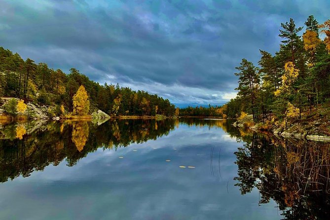 Nature Reserve Hiking Tour With Campfire Lunch - Swedish Fika Experience