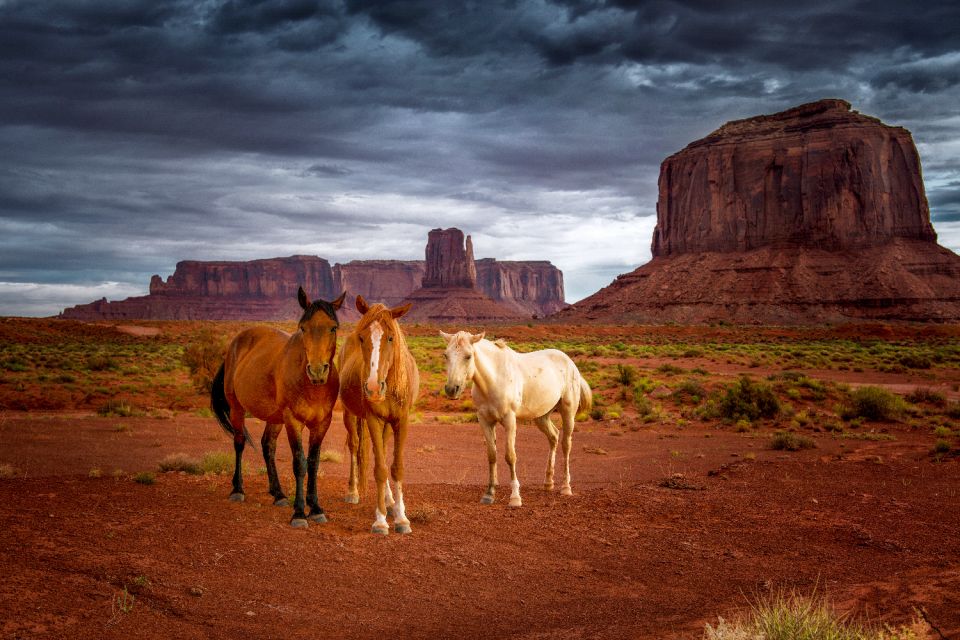 Navajo Tribal Park Monument Valley Self-Guided Driving Tour - Vehicle and Group Requirements