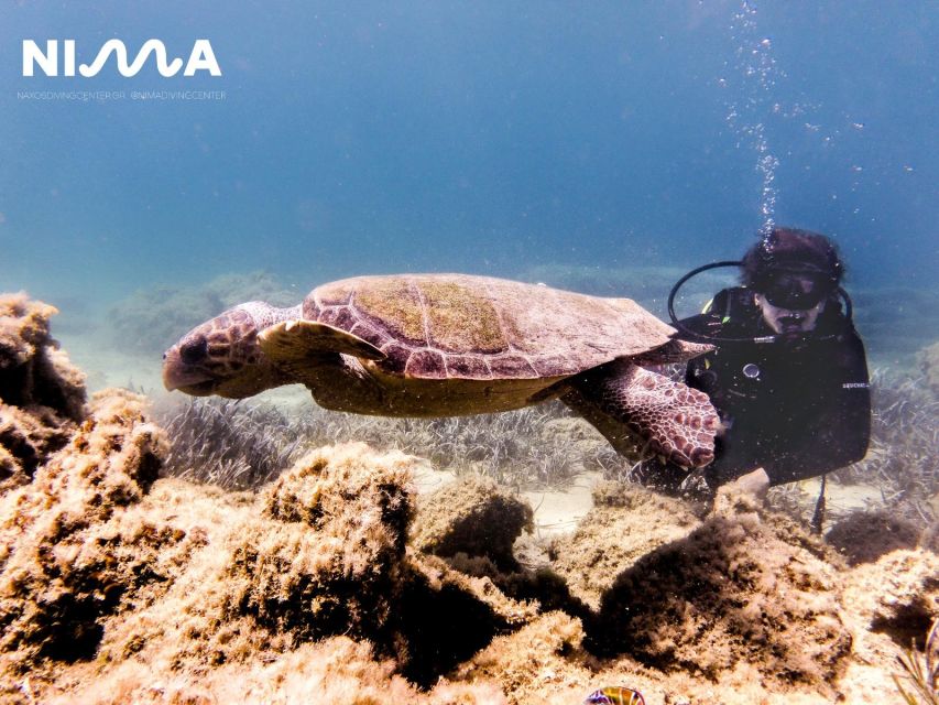 Naxos: Discover Scuba Dive With Nima Dive Center - Hotel Transportation Included