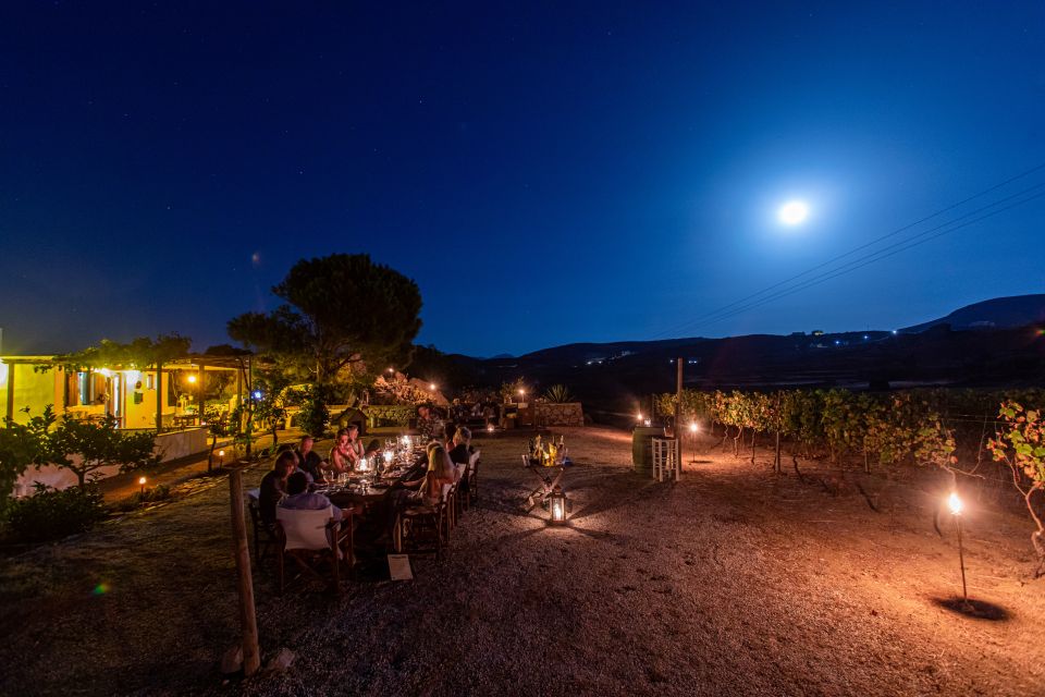 Naxos: Full Moon Dinner and Wine Tasting in a Vineyard - Cancellation Policy