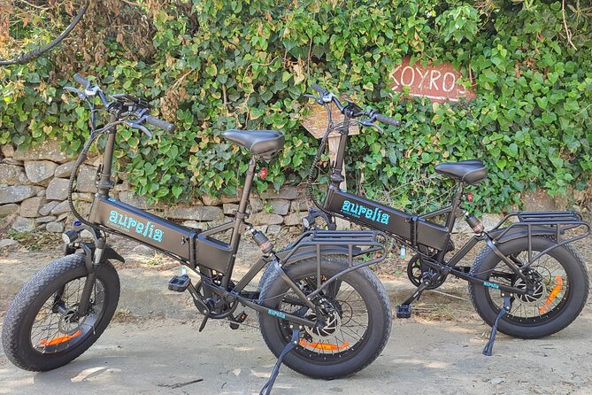 Naxos Private / Semi Private E-Bike Guided Tour Aegean Lush - Ease of E-Bike Riding