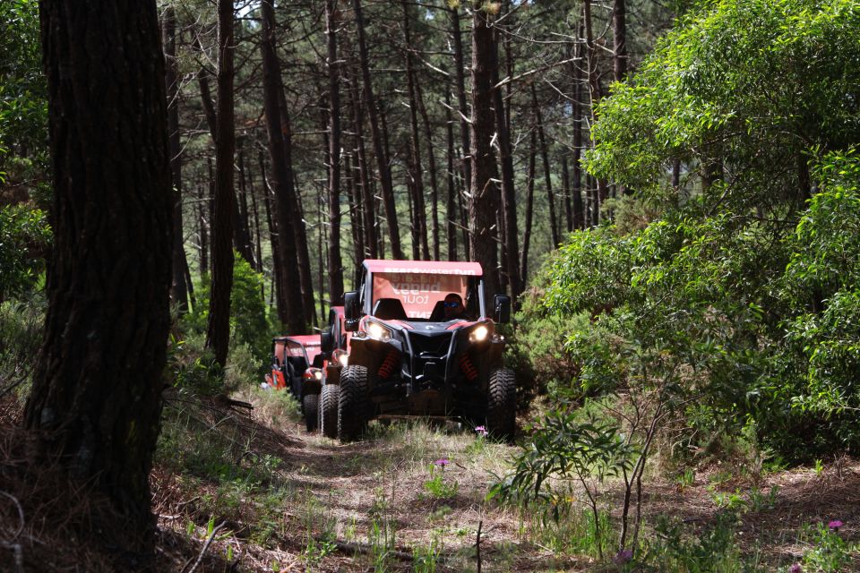 Nazaré: 4x4 Buggy Tour With Guide - Additional Details