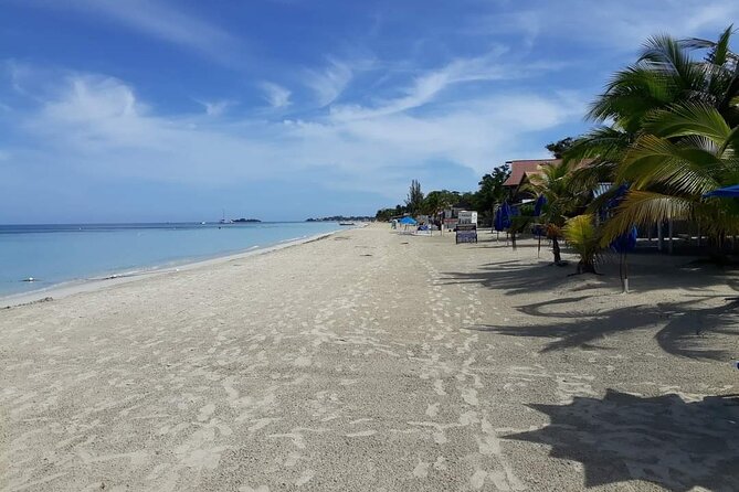 Negril 7 Miles Beach and Ricks Cafe Tour - Private Transportation and Lunch