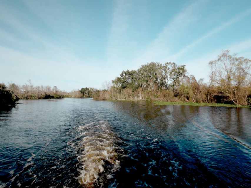 New Orleans: High Speed 16 Passenger Airboat Ride - Tour Speed