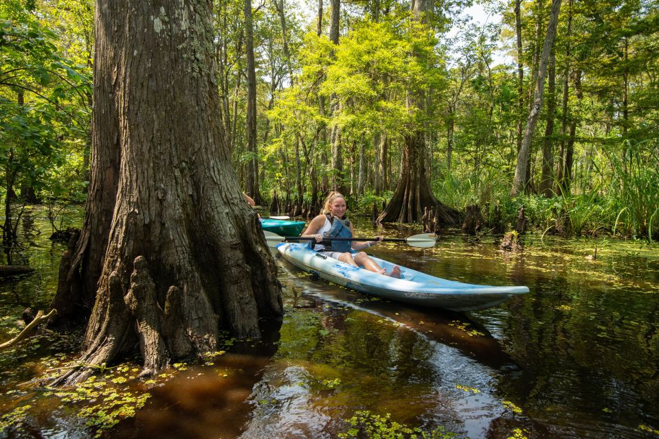 New Orleans: Manchac Magic Kayak Swamp Tour - Customer Feedback